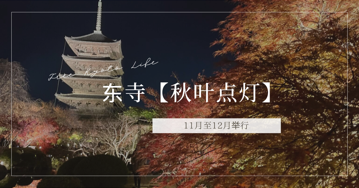 【东寺/红叶点灯】活动概要、交通方式、看点介绍! (附照片) | Free Kyoto Life | フリー京都ライフ